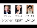 言語の起源：日本語は孤独ではない