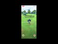 Pokemon Unified Gameplay 1171