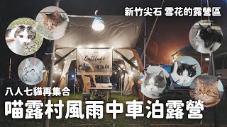 風雨中和貓咪車泊露營｜雪花的露營區｜新竹尖石鄉｜海拔750公尺｜喵露村｜泡麵料理大賽｜和那堤的露營生活 Car Camping with Cats EP3