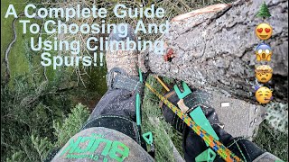 Everything You Need To Know About Tree Climbing Spurs A Complete Guide To Choosing And Using Spurs
