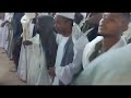 أبناء الشيخ الجعلي كدباس الرجبية ٢٠٢٤ 4 