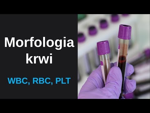 Morfologia krwi - leukocyty (WBC), erytrocyty (RBC) oraz trombocyty/płytki krwi (PLT)