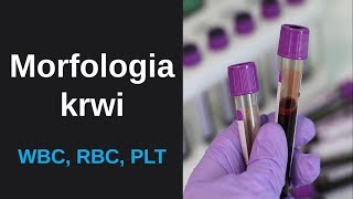 Morfologia krwi - leukocyty (WBC), erytrocyty (RBC) oraz trombocyty/płytki krwi (PLT)