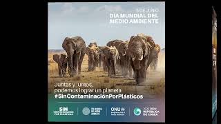 Día Mundial Medio Ambiente 2025