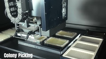 CPX™-α Automated Workflow: High-Throughput Colony Picker from Curiosis