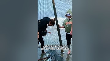 Bao đăng ở Vũng Tàu: Cách đặt chỗ bao đăng như thế nào? #baođăngvũngtàu  #mòcuabắtốctv