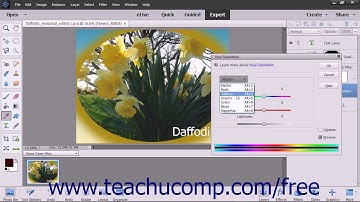 Photoshop Elements 15 Tutorial Hue/Saturation Adobe Training