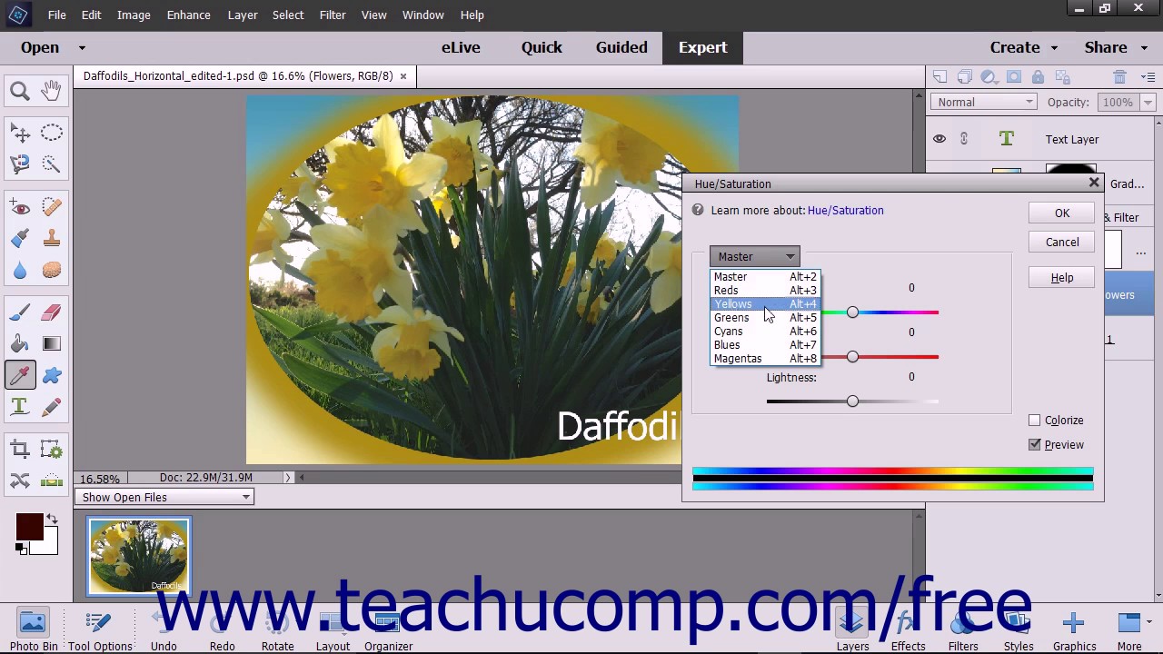 Photoshop Elements 15 Tutorial Hue/Saturation Adobe Training - YouTube