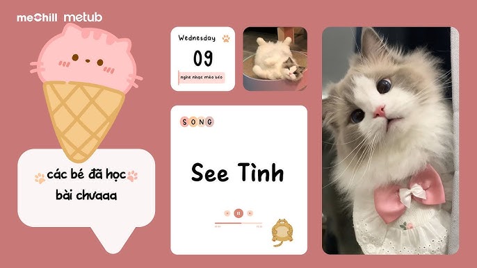 Giá Trị Dinh Dưỡng Và Lợi Ích Sức Khỏe