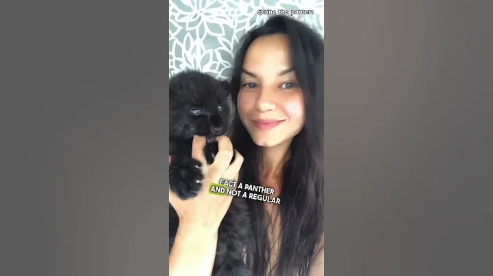 She Thought It Was A Cat 😳 (@Lunathepantera)