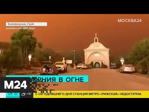 Небо в Калифорнии стало оранжевого цвета из-за пожаров - Москва 24