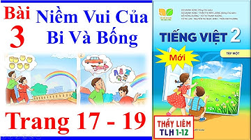 Tiếng Việt Lớp 2 Bài 3 | Niềm Vui Của Bi Và Bống | Trang 17 - 19 | Kết Nối Tri Thức | Mới