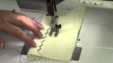 Bernina 350 22 Sewing Decorative Stitches