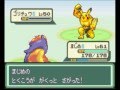 【改造ポケモン】ベガ実況プレイ　新境地の旅へ...part26