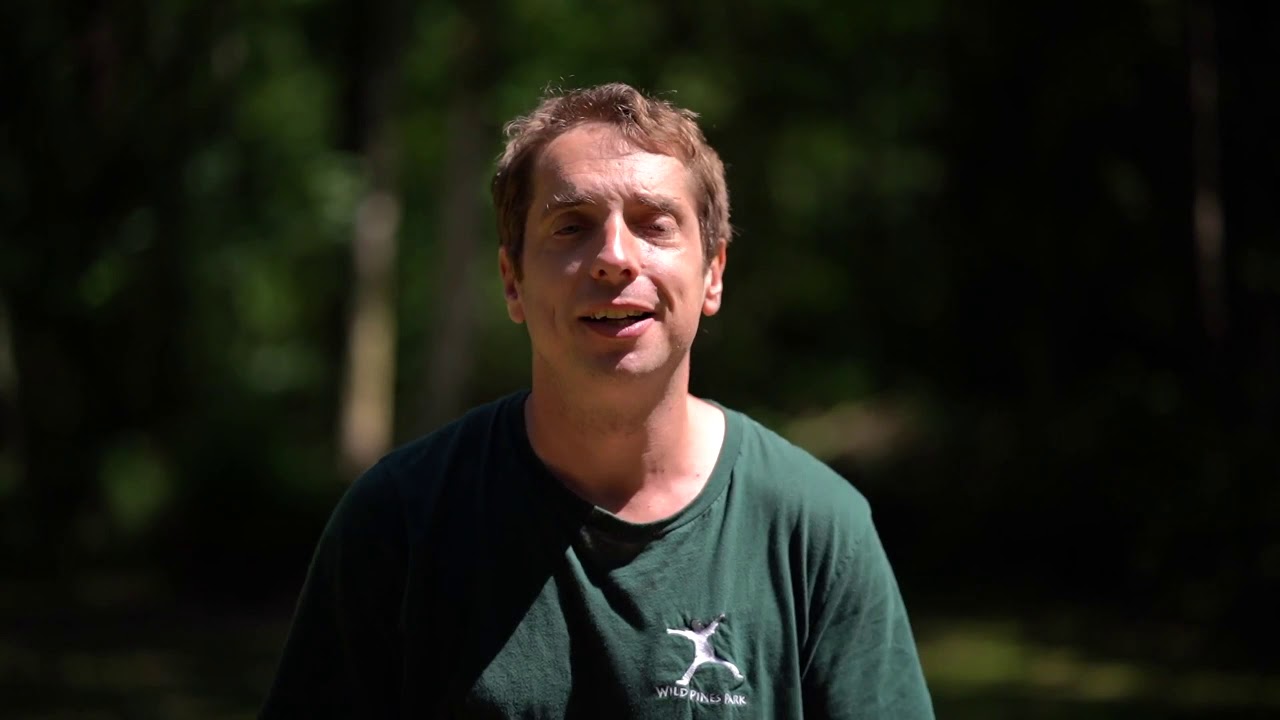 Welcome to Wild Pines Park