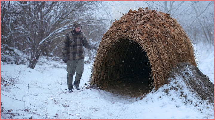 Top 5 Survival Bushcraft Shelters You Can Build in the Wild