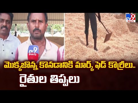 మొక్కజొన్న కొనడానికి మార్క్ ఫెడ్ కొర్రీలు.. రైతుల తిప్పలు | Telangana - TV9 - TV9