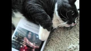 Anggun - Echoes (Year of the Snake) Audio Edit