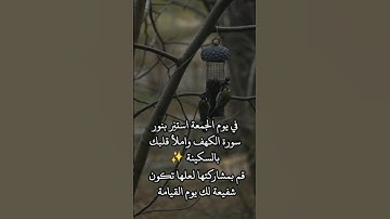 آيات من سورة الكهف #سورة_الكهف #جمعة_مباركة #يوم_الجمعة #نور_القرآن #القرآن_الكريم
