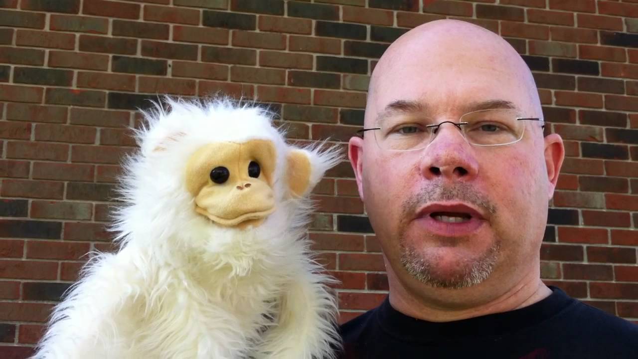 Monday Monkey - YouTube