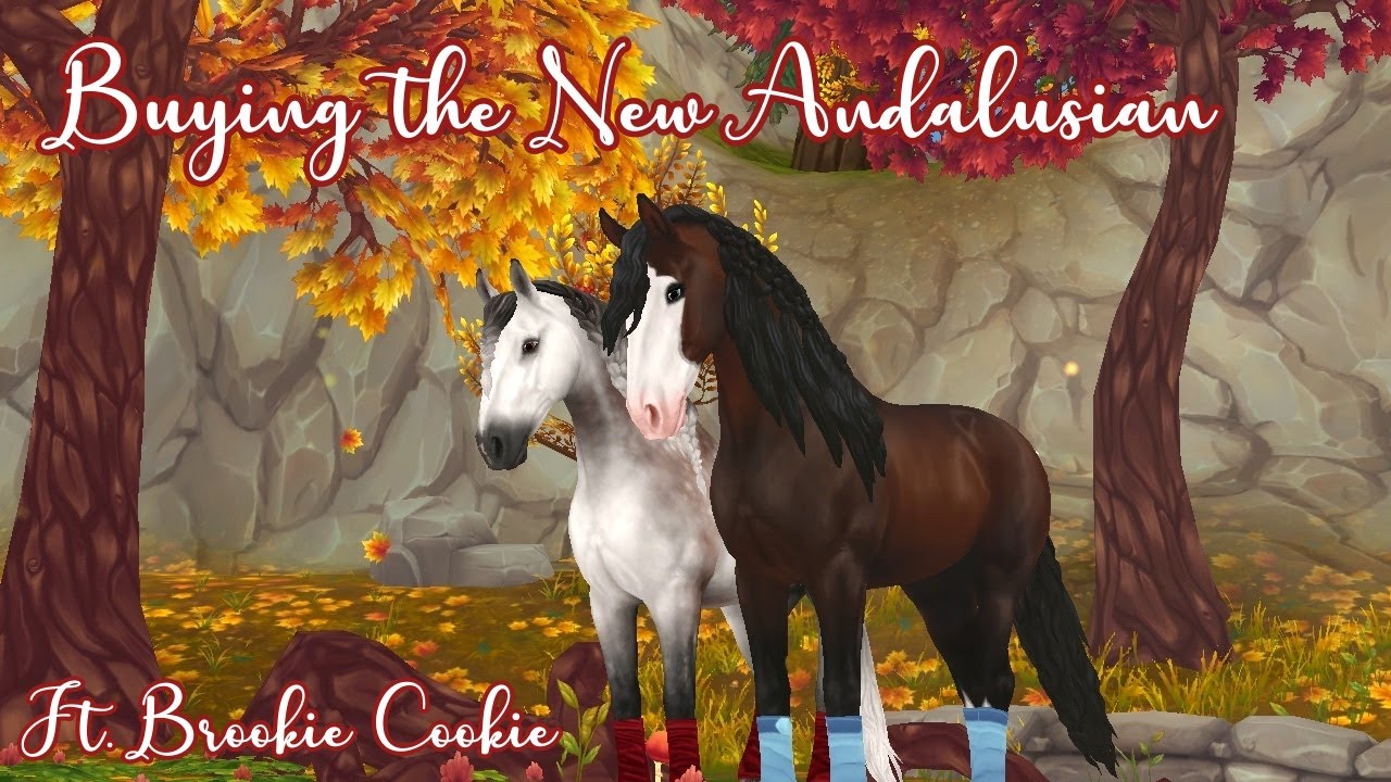 Buying the New Andalusian