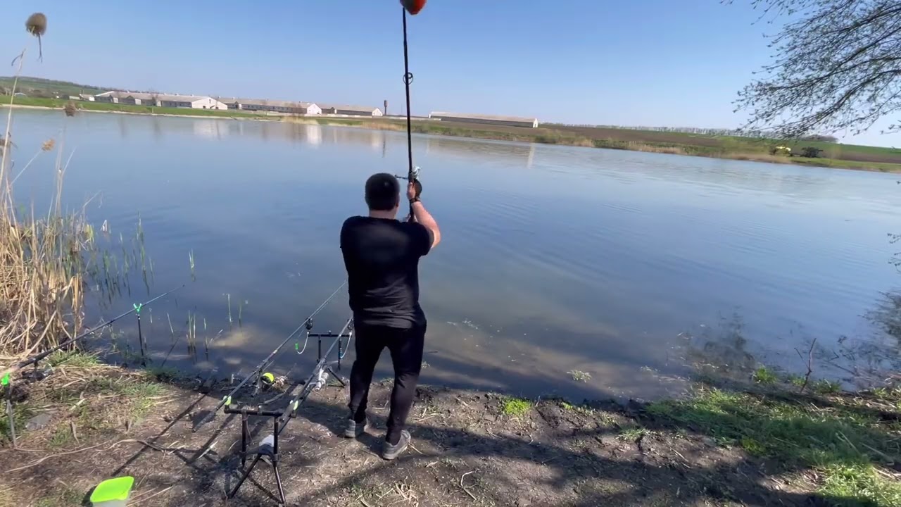 Карась на карпову снасть #карась #карп 