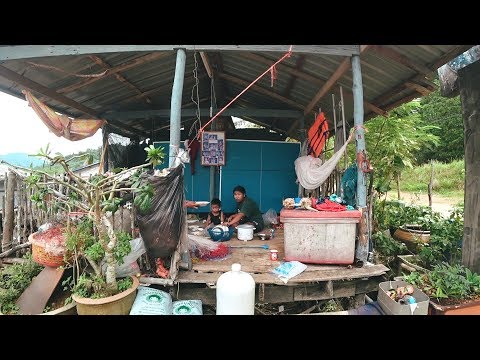 Видео: Реалността зад тайландското племе Kayan Long Neck Hill