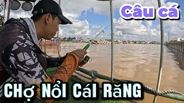 Câu cá ở chợ nổi Cái Răng, địa điểm câu cá lý tưởng có nhiều loại cá 