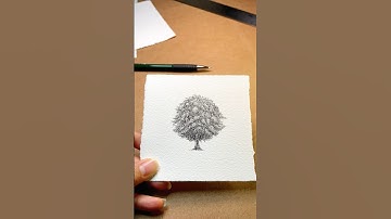 Drawing a tiny tree! Using ink and a mapping pen. #art #ink #drawing #artist