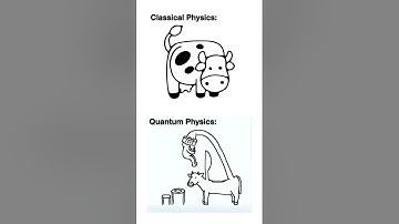 If You Think You Understand Quantum Mechanics, Then You Don’t Understand Quantum Mechanics