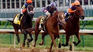 2013 Kentucky Oaks - Princess Of Sylmar + Post Race