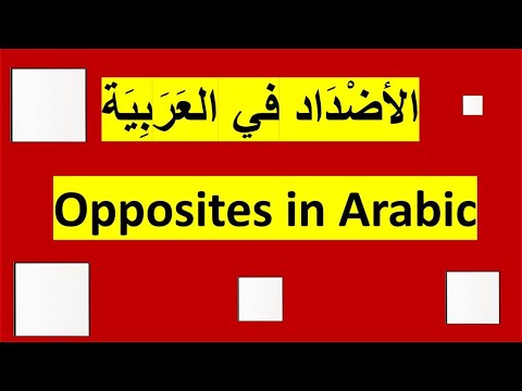 الأضداد في العربية 1   
