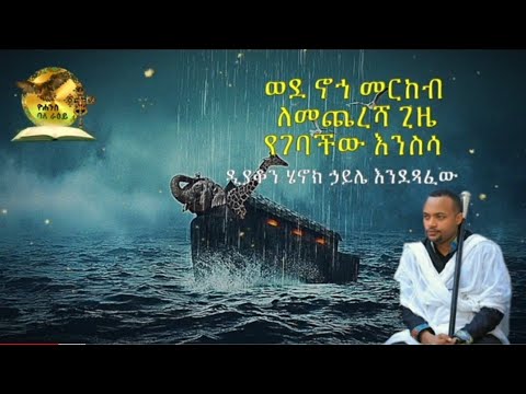 ቪዲዮ: ትበርራለህ?