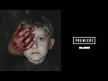 SNTS - "Limited Perception"