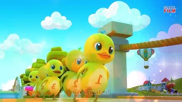 DUCK - CON VIT | Bài hát tiếng Anh dành cho thiếu nhi | Sáng tác: Phạm Đăng Khương