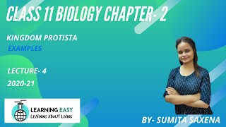 KINGDOM PROTISTA | PART- 2 | BIOLOGICAL CLASSIFICATION | CHAPTER- 2 | LECTURE- 4