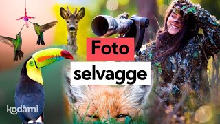 In giro per il mondo con un obiettivo nel cuore: la fotografia naturalistica di Sharon Vanadia