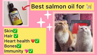 Salmon fish oil for cats || HAIR FALL solution 100% by leoko vlog 528 views 6 months ago 4 minutes, 32 seconds