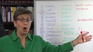 5.3 Signs of Cranial Nerve Lesions