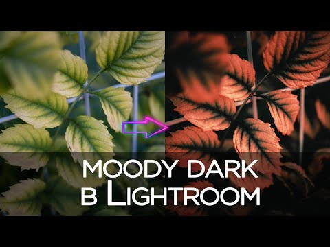 Обработка фото в Lightroom / Осенний MOODY DARK / ретушь кривыми в Лайтрум