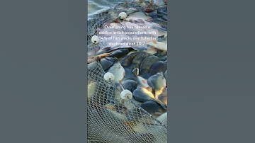 Shocking statistics about the environment