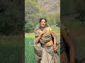 2025 Dhilo Dhilo घग र Trending Aadivasi Short Video Aadivasi 2025 Dhilo Dhilo घग र Trending Aadivasi Short Video Aadivasi