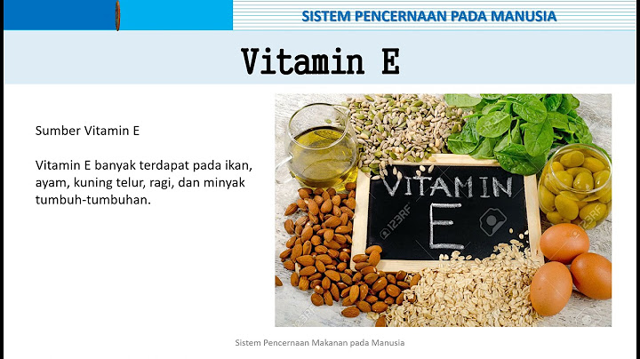 Yang akan dilakukan tubuh ketika mendapat suplai vitamin A yang berlebihan adalah 4 poin