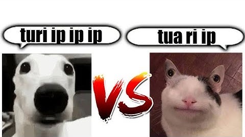 Turi ip ip ip vs tua ri ip rap battle