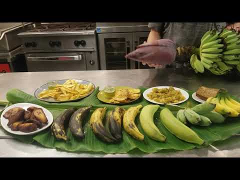 Video: Pinnate Plantain