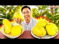 Lần Đầu Trải Nghiệm Ăn Xoài Tứ Quý | Phước Lầy
