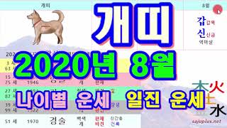 8월 개띠 운세 - 2020년 8월 경자년 갑신월 개띠 일진 사주 운세보기