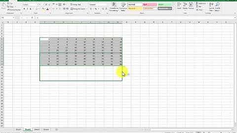 Excel Module 1