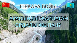 Ойжайлау. Ыстық арасан қаншалықты ем? Қытаймен бөліскен Қорғас өзені.