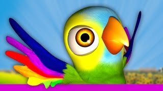 My Parrot Pepe - Kids Songs & Nursery Rhymes